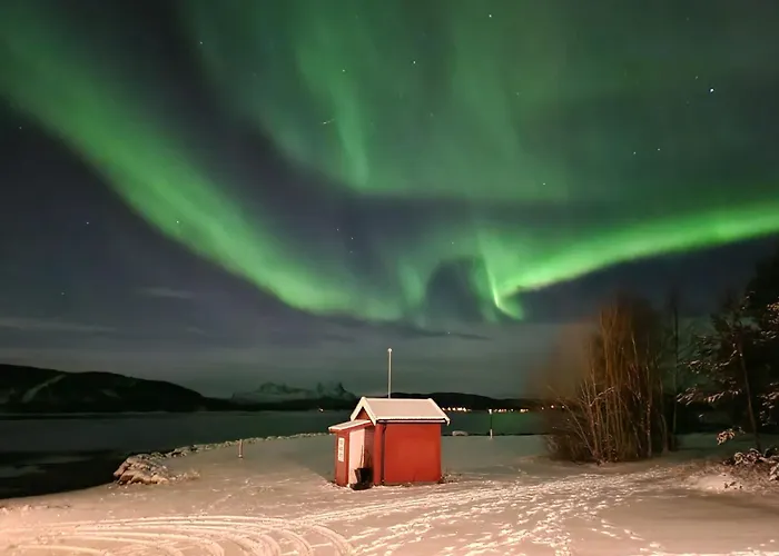 Ulvsvag Gjestgiveri Og Fjordcamping As